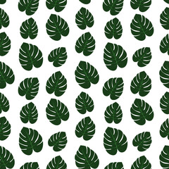 Monstera leaves seamless pattern. Vector illustration of a floral background. Tropical palm leaves texture.
