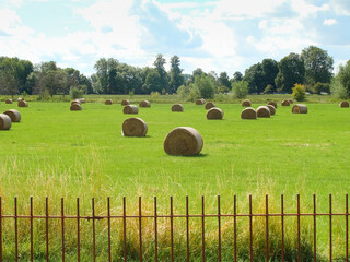 Green field with haystacks.