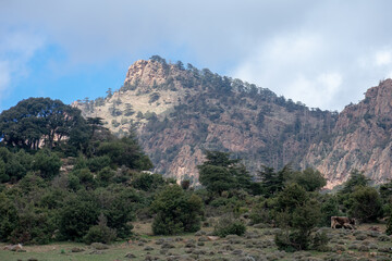 Belezma National park in the Aures region in Batna, Algeria