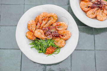Mediterranean meal with shrimps, octopuses, seaweed and caviar in plates on green tiles, view from above