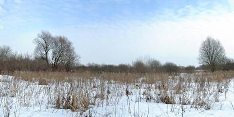 Spring walk through the forest, beautiful panorama.