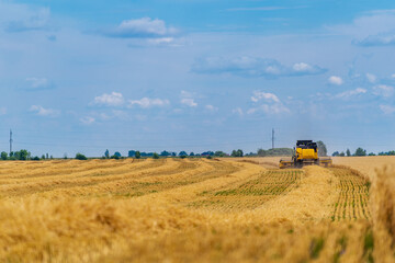 Big combine harvester working at the field. Great yellow agricultular machine at blue sky.