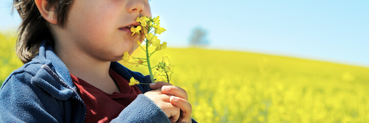 Little boy smells rapeseed flower