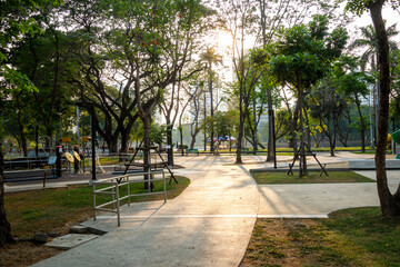 Beautiful nature at morning with sun in big city park