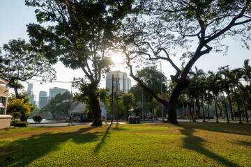 Fototapeta na wymiar Beautiful nature at morning with sun in big city park