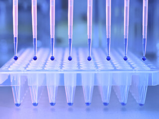 Loading of PCR with multichannel pipette