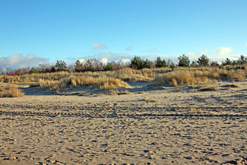 Dunes on the Baltic coast