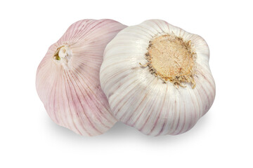 Garlic on an isolated white background. Fresh garlic