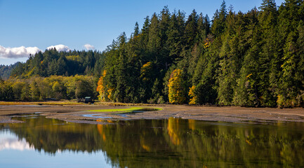 USA, Washington State, Seabeck. Low tide on Hood Canal.