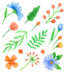 Watercolor flower clipart. Summer garden botanical blossom chamomile. Spring illustration bouquet bloom element daisy hand drawn isolated on white.