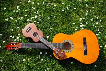Acoustic guitar and ukulele on a green grass field with flowers