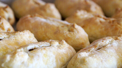 Fototapeta na wymiar baked ruddy little pies on a baking sheet for food background