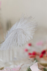 Large gray ostrich feather