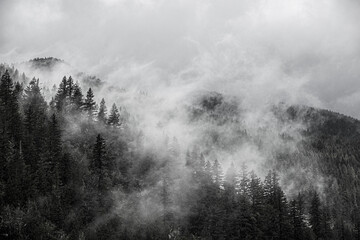 North Cascades Mountains, foggy mountain.