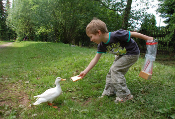 Kind beim Enten füttern 