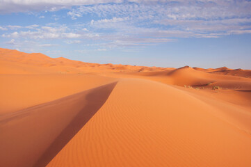 Fototapeta na wymiar Desierto del Sahara en la zona frontera entre Marruecos y Argelia