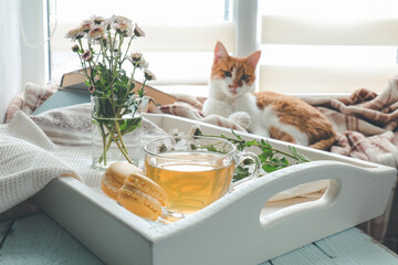 Cup of tea, macaroons, chrysanthemum flowers and books in tray and red cat on the table. Cozy home concept.