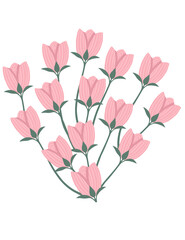 Pattern of pink tulips spring flowers vector illustration on white background