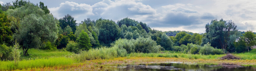 Forest with green trees and bushes by the river in summer, panorama