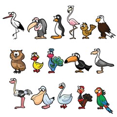 Set of cute cartoon birds