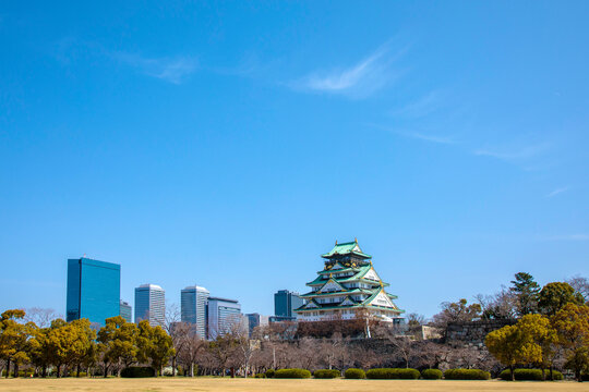 大阪城天守閣とビジネスパークビル群
