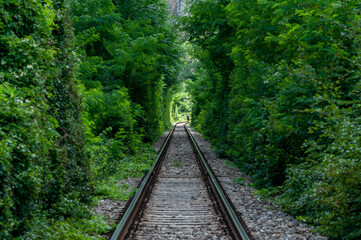 A natural love tunnel formed by trains cutting off the branches of the trees. Green foliage. Unrecognizable people