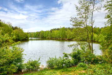 Fototapeta na wymiar Naturidylle mit Waldsee 