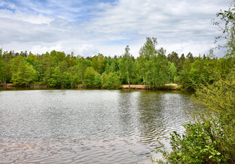 Obraz premium Mit Bäumen bewachsenes Seeufer