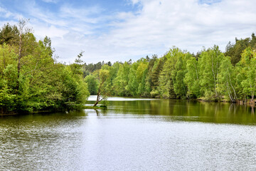 Fototapeta na wymiar Landschaftspanorama am bewaldeten See
