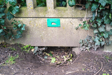 A sign indicating a route left open for hedgehogs to move between gardens for conservation