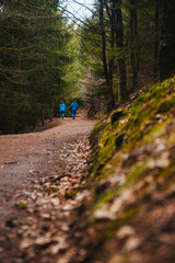 hiking in the forest