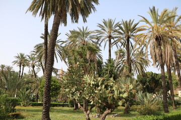 Fototapeta na wymiar Park in the city of Palermo, Sicily Italy