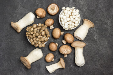 Several types of mushrooms on black