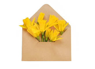 Envelope with yellow daffodils isolated on white background. Spring letter with narcissus flowers.