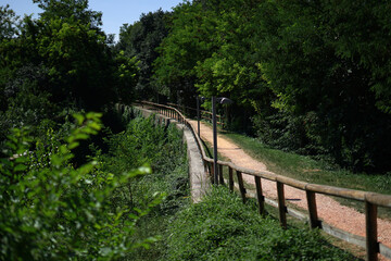 A delightful footpath that goes into the forest.
Footpath with lampposts and wooden handrail on a sunny day. 