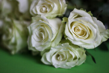 Bouquet of white roses on a green background photographed close up