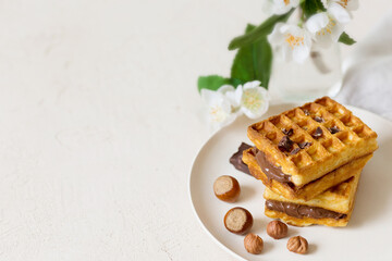 Waffles with chocolate nut spread, place for text with copy space. Spring layout background image