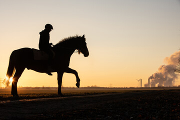 Reiterin mit Pferd im Sonnenaufgang