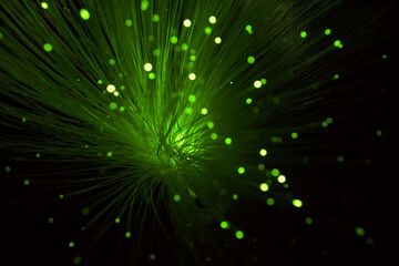 Green light from fiber optic,fiber optic showing data or internet communication concept
