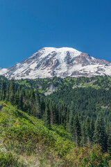 Washington State, Mt. Rainier National Park, Mt. Rainier