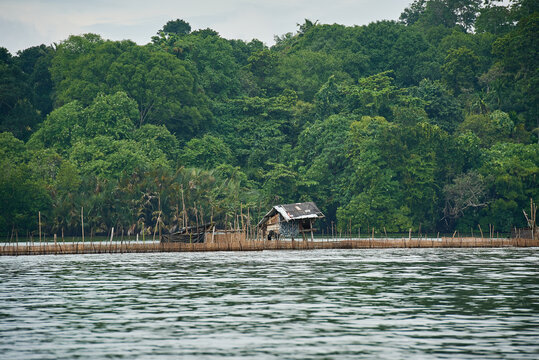 Poor aboriginal people's swamp hut