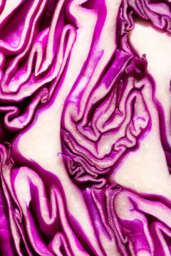 Red Cabbage Close Up