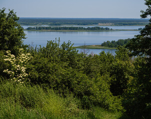 Dnipro river blossoming shores summer landscape, Kaniv water Reservoir, Kyiv Region, Ukraine.