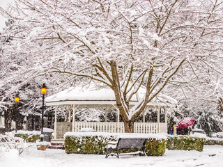 USA, Washington State, Snoqualmie winters fresh snowfall on gazebo