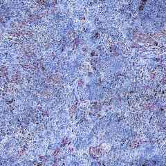 Blue marble stucco stone seamless pattern texture background. Artistic illustration