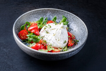 Modern style Italian Apulia Burrata cow milk cheese made from mozzarella and cream served with...