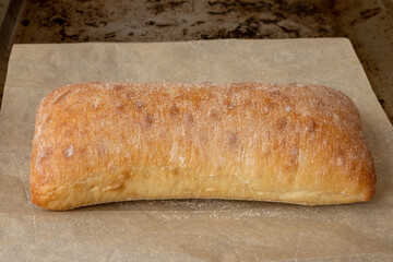 Freshly baked ciabatta on baking tray on table in bakery, bread production.