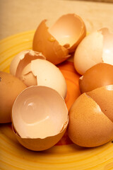 brown empty chicken egg shells on a plate