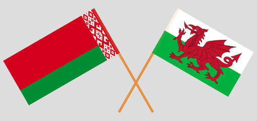 Crossed flags of Belarus and Wales. Official colors. Correct proportion