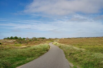 Fototapeta na wymiar street in Jutland, heather wilderness landscape on sunny day